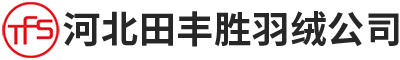 河北田丰胜羽绒
