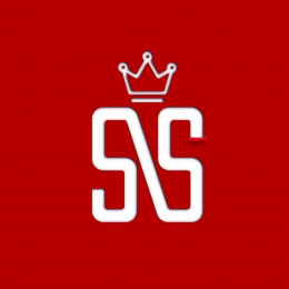 SS级高品质灰鸭绒